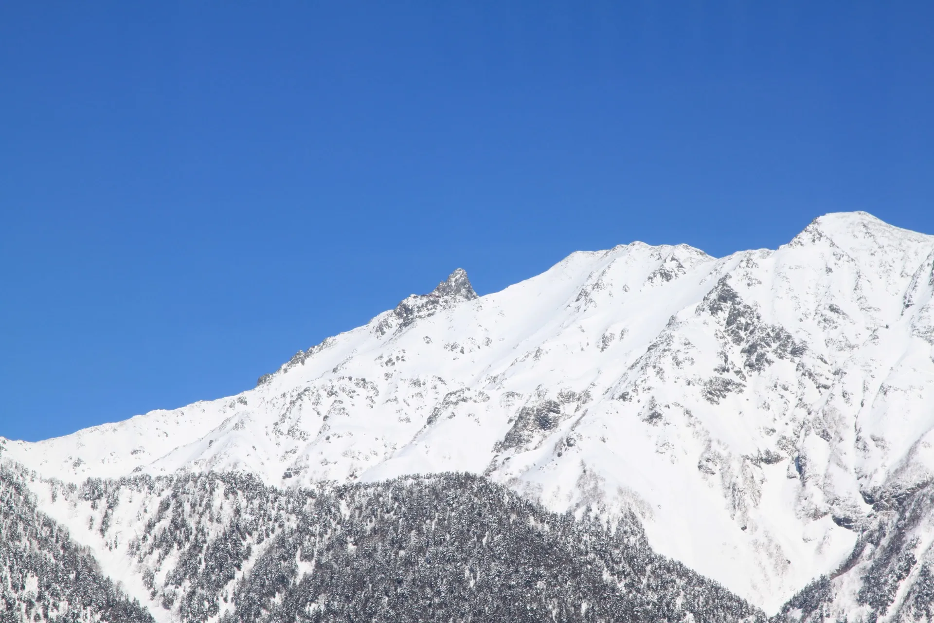 年末のご挨拶と一年の御礼