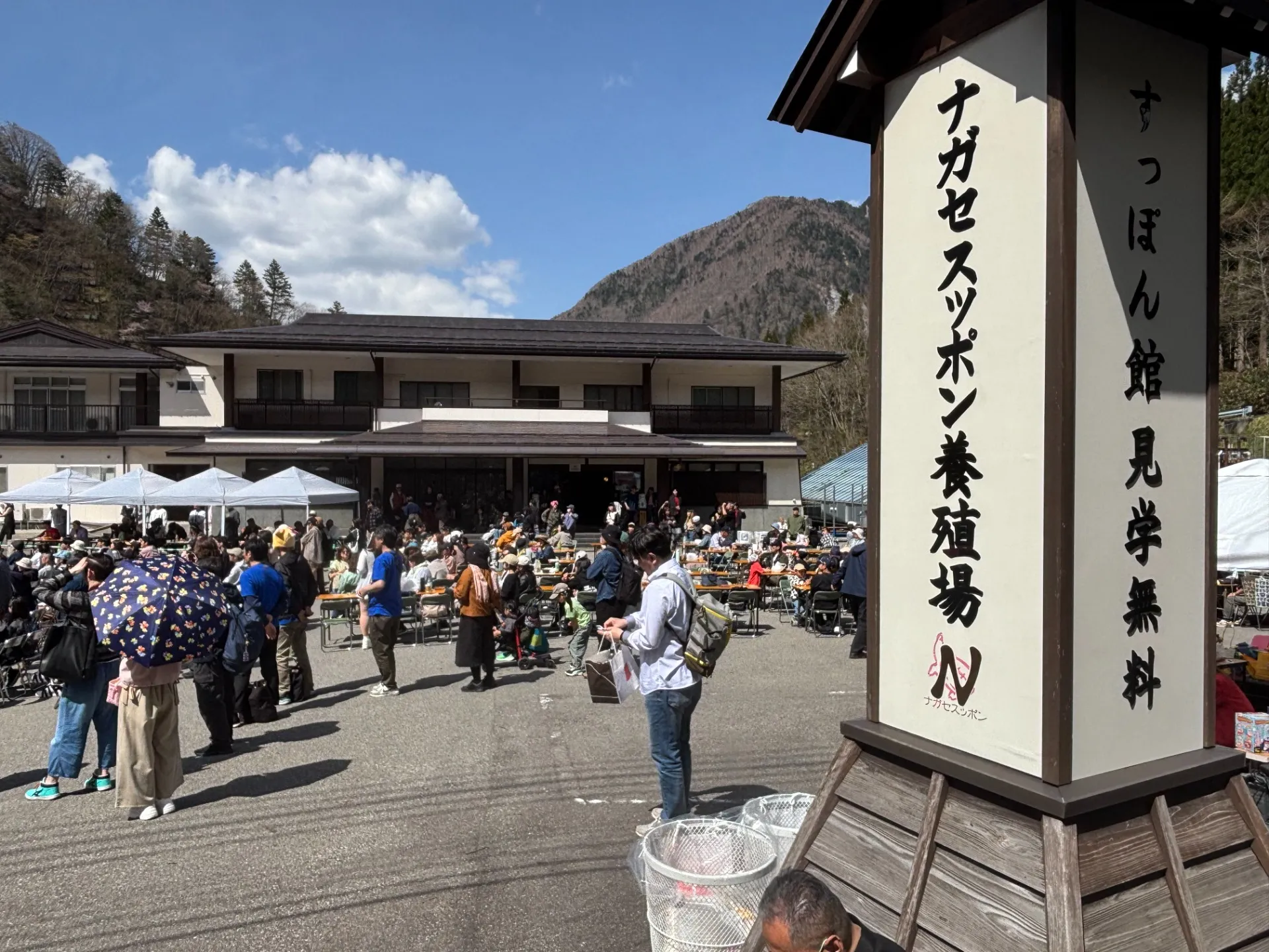 ひらゆさくら祭り